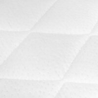 Julius Zöllner Dr. Lübbe Premium Wiegenmatratze 100x50
