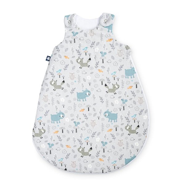 Julius Zöllner Smart Friends Babyschlafsack Sky 62x68