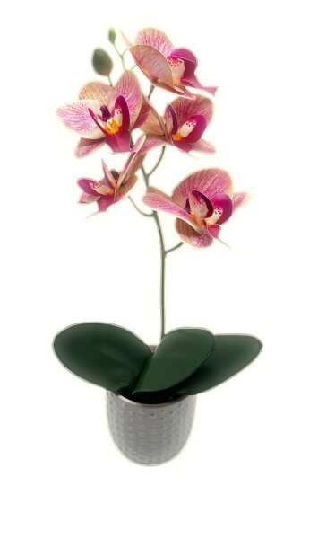 Kunstorchidee im Topf Bestseller Höhe 38 cm Künstliche Orchidee Kunstpflanze Pflanze Kunstblume rosa pink gelb weiß