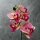 Kunstorchidee im Topf Bestseller Höhe 38 cm Künstliche Orchidee Kunstpflanze Pflanze Kunstblume rosa pink gelb weiß