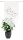 HOME WOHNIDEEN Fensterbehang Voile Digitaldruck "Sylia" 80 x 40 cm 1x Fensterbehang Grau
