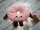 Kuscheltier Food Foodies Plüschtier XXL 20 cm Stofftier Anime Kawaii Plush Stofftier Cute Plushie Halloween Weihnachten Geschenke für Kinder Donut