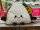Kuscheltier Food Foodies Plüschtier XXL 20 cm Stofftier Anime Kawaii Plush Stofftier Cute Plushie Halloween Weihnachten Geschenke für Kinder Plüsch Sandwich