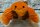 Kuscheltier Food Foodies Plüschtier XXL 20 cm Stofftier Anime Kawaii Plush Stofftier Cute Plushie Halloween Weihnachten Geschenke für Kinder Plüsch Croissant