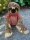 Faultier Kuscheltier XXL 52 cm Faultier Plüschtier Anime Kawaii Plush Stofftier Cute Plushies Plüschtiere Plushie Halloween Weihnachten Geschenke für Kinder Faultier Let´s Hang Out rosa