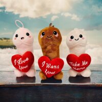 Plüsch Penis Herz Mr. Sexy Kuscheltier 15 cm rosa Junggesellenabschied Geschenk