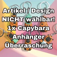 Capybara Anhänger Key Chain 4 cm Glücksbringer unsortiert nicht wählbar