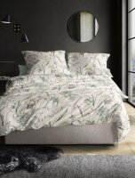 Irisette Edel-Feinbiber Bettwäsche Set Koala 8425 1...