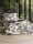 Irisette Mako-Satin Bettwäsche Set Wave 8528 1 Deckenbezug 155x220 cm + 1 Kissenbezug 80x80 cm grau