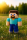 Minecraft Plüschtier Stofftier Kuschel Steve 30 cm Spielerfigur blau