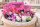 Radiergummi Puzzle Hello Kitty 1er Pack Überraschungspaket keine freie Auswahl . Mädchen und Jungen Geschenk Cartoon Silikon