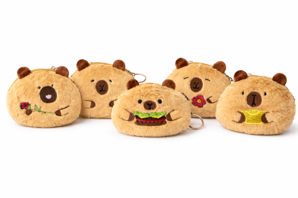 Capybara Plüsch Portemonnaie mit Anhänger – niedliche Geldbörse mit Reißverschluss & Karabiner – 1 von 5 Motiven zufällig – Schlüsselanhänger, Taschenanhänger – ca. 12 × 9 × 5 cm