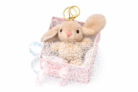 Plüsch Hase Schlüsselanhänger 13 cm – Weicher Mini Kuschelhase mit Metallring – Taschenanhänger & Rucksack-Accessoire – Geschenkidee für Kinder & Erwachsene