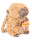 Capybara Rucksack 2in1 Plüsch Kinder Kindergarten Tasche mit Schlüsselanhänger zufälliges Motiv Burger oder Pommes Geschenkidee
