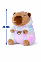 Capybara Kuscheltier 25 cm bunt – Plüsch Tierfigur mit buntem Hoodie, Weiches Stofftier für Kinder, Geschenkidee & Deko, 1 Stück