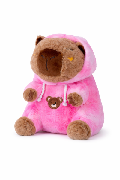 Capybara Kuscheltier 25 cm pink – Plüsch Tierfigur mit buntem Hoodie, Weiches Stofftier für Kinder, Geschenkidee & Deko, 1 Stück