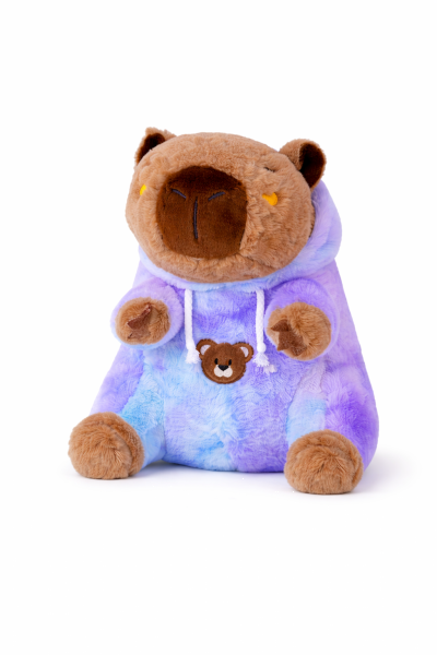Capybara Kuscheltier 25 cm blau – Plüsch Tierfigur mit buntem Hoodie, Weiches Stofftier für Kinder, Geschenkidee & Deko, 1 Stück