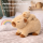 Capybara Kuscheltier mit Baby 26 cm – Plüschtier Capybara Stofftier weich – Tierfigur mit Baby auf dem Rücken – zufällige Farbvariante – Geschenkidee für Kinder