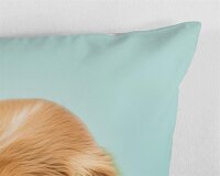 Good Morning Bettwäsche 135x200 + 1 x 80x80 cm Renforcé Paxy Hund und Katze blau