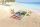 Good Morning Strandtuch 75x150 cm Frottee Diesel Jack-Russell-Hund mit Sonnenbrille und Eis am Strand bunt