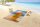 Good Morning Strandtuch 100x180 cm Frottee Beer Bierchen am Strand bunt