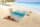 Good Morning Strandtuch 100x180 cm Frottee Sealife Blumen und Blätter bunt