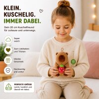 Capybara Kuscheltier 20 cm mit Frucht Erdbeer Anhänger weich Plüschtier Kinder Figur Geschenk