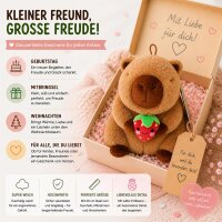 Capybara Kuscheltier 20 cm mit Frucht Erdbeer Anhänger weich Plüschtier Kinder Figur Geschenk