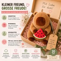Capybara Kuscheltier 20 cm mit Frucht Wassermelone Anh&auml;nger weich Pl&uuml;schtier Kinder Deko Geschenk