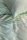 Beddinghouse Bettw&auml;sche DE BH DD Lombard Street Green 155x220 Gr&uuml;n