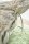 PiP Studio Kissen ko PIP Mumbai Morning Light Green Hell 53 cm x 53 cm grün