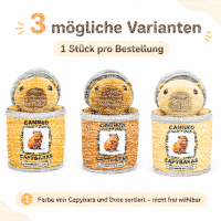 Capybara Kuscheltier in Dose, Plüschtier sortiert, ca. 19 cm weich Kinder Deko Geschenk