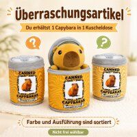 Capybara Kuscheltier in Dose, Plüschtier sortiert, ca. 19 cm weich Kinder Deko Geschenk