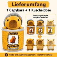 Capybara Kuscheltier in Dose, Plüschtier sortiert, ca. 19 cm weich Kinder Deko Geschenk