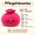 Plush Dumpling Kawaii Kuschelkissen weich & knautschig 15 cm pink