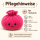 Plush Dumpling Kawaii Kuschelkissen weich & knautschig 35 cm pink
