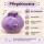 Plush Dumpling Kawaii Kuschelkissen weich & knautschig 35 cm lila