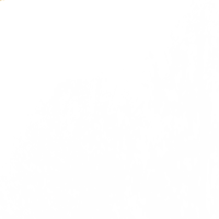 Kuscheltier Krokodil Grün Alligator Plüschtier weich 45 cm liegend