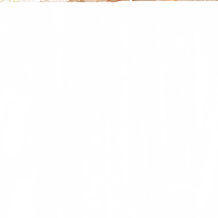 Kuscheltier Krokodil Grün Alligator Plüschtier weich 45 cm liegend