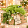 Kuscheltier Krokodil Grün Alligator Plüschtier weich 45 cm liegend