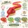 Plüschtier Plüschschlange XXL 200 cm Plüsch-Schlange weich gefüllt, ideal zum Trösten Kuscheln Einschlafhilfe Toys Schlange Snake Kuscheltier Farbe nicht wählbar
