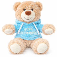 Teddybär Kuscheltier Stofftier Gute Besserung 33 cm...