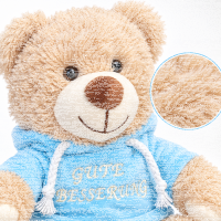 Teddybär Kuscheltier Stofftier Gute Besserung 33 cm mit blauem Kapuzenpullover