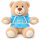 Teddybär Kuscheltier Stofftier Gute Besserung 33 cm mit blauem Kapuzenpullover