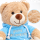 Teddybär Kuscheltier Stofftier Gute Besserung 33 cm mit blauem Kapuzenpullover