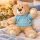 Teddybär Kuscheltier Stofftier Gute Besserung 33 cm mit blauem Kapuzenpullover