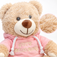 Teddybär Kuscheltier Stofftier Gute Besserung 33 cm mit rosa Kapuzenpullover