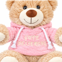 Teddybär Kuscheltier Stofftier Gute Besserung 33 cm mit rosa Kapuzenpullover