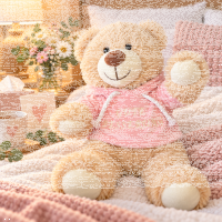 Teddybär Kuscheltier Stofftier Gute Besserung 33 cm mit rosa Kapuzenpullover