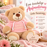 Teddybär Kuscheltier Stofftier Gute Besserung 33 cm mit rosa Kapuzenpullover